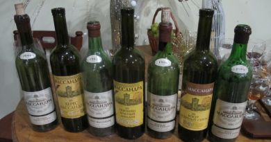 Экскурсия из Алушты: Дегустация лучших крымских вин на знаменитом завод фото 5813