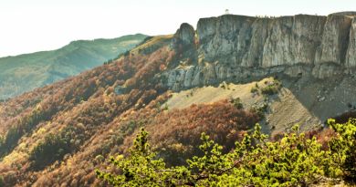 Экскурсии в `Крымский природный заповедник` из Алушты