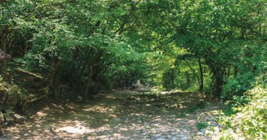 Авто-пешеходная экскурсия из Алушты (фото 23)