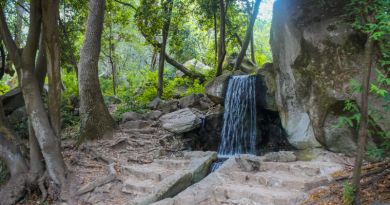 Авто-пешеходная экскурсия из Алушты (фото 8)