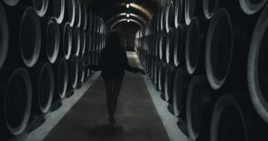 Вид на объект: винодельческий комбинат «Массандра»