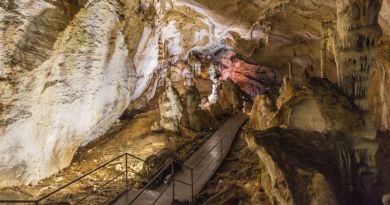 Экскурсия из Алушты: Пещеры Мраморная и Мамонтовая фото 6020