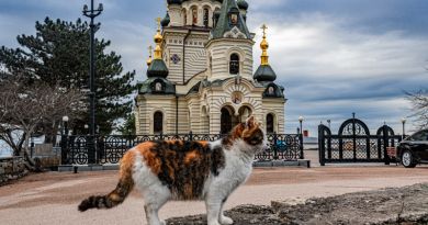 Экскурсия из Алушты: Крымская кругосветка (Крымские святыни) фото 8670 Экскурсия из Алушты: Крымская кругосветка (Крымские святыни) фото 8670