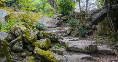 Авто-пешеходная экскурсия из Алушты (фото 9)