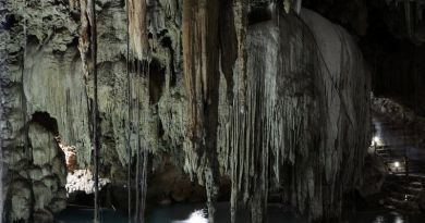 Авто-пешеходная экскурсия из Алушты (фото 2)