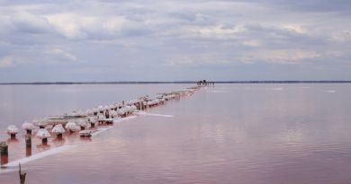 Экскурсии в Озеро Сасык-Сиваш (розовое озеро) из Алушты 2024
