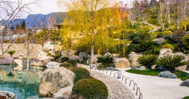 Японский сад "Шесть чувств" в отеле "Мрия"