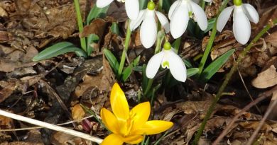 Однодневные походы из Алушты