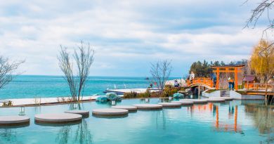 Экскурсия из Алушты: Японский сад «Шесть чувств» / Купели Онсэн фото 8894