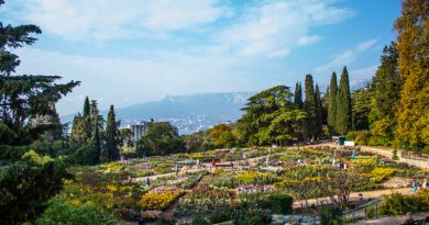 Экскурсия из Алушты: Никитский ботанический сад. Бал Хризантем фото 8504