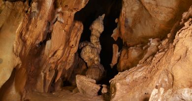 Экскурсия из Алушты: Пещеры Мраморная и Мамонтовая фото 5844