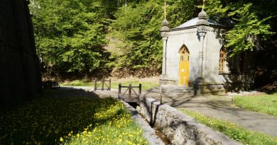 Точка притяжения туристов — Крымский природный заповедник