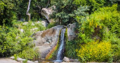 Авто-пешеходная экскурсия из Алушты (фото 15)