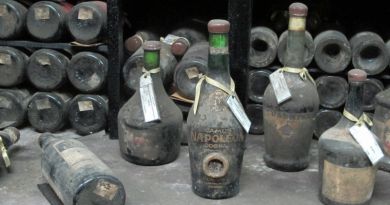 Атмосфера места: винодельческий комбинат «Массандра»