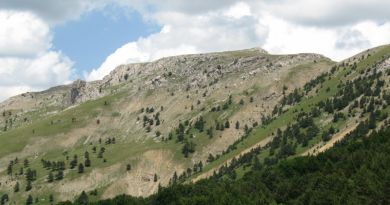Авто-пешеходная экскурсия из Алушты (фото 5)