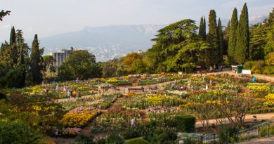 Экскурсия из Алушты: Никитский ботанический сад. фото 8507 Экскурсия из Алушты: Никитский ботанический сад. фото 8507